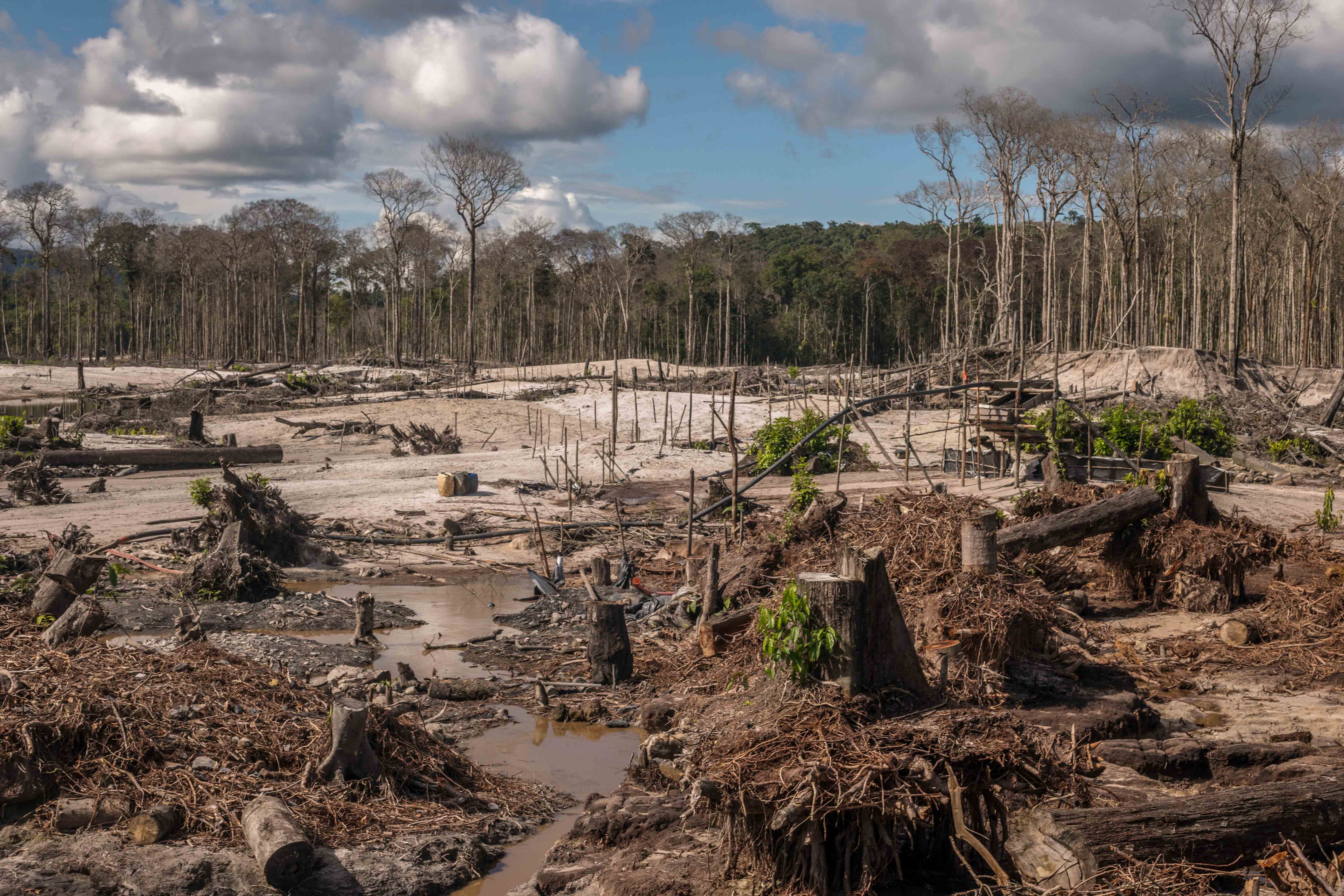 Área desmatada na Terra Indígena Yanomami, localizada nos estados brasileiros de Roraima e Amazonas, em junho de 2021.