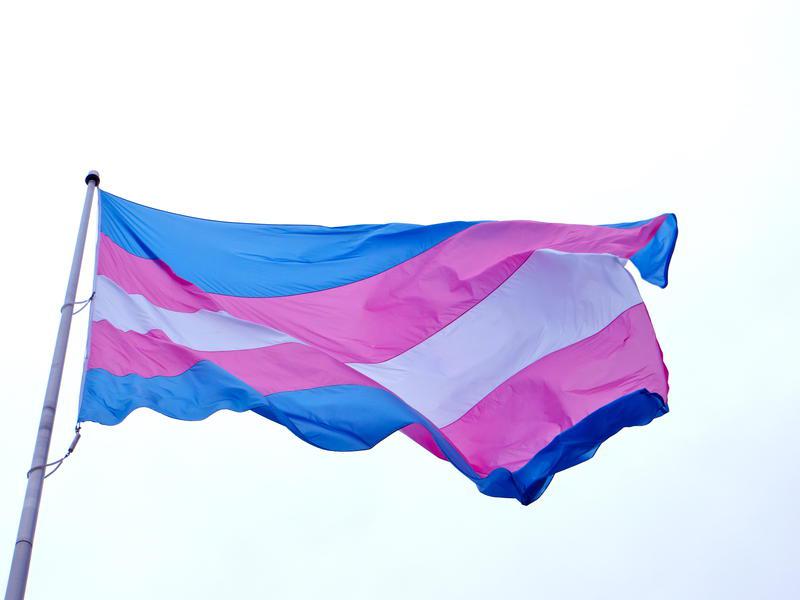 Флаг гордости трансгендеров.