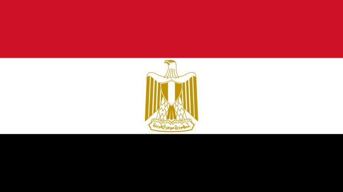 202302mena_egypt_flag