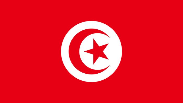 202302mena_tunisia_flag