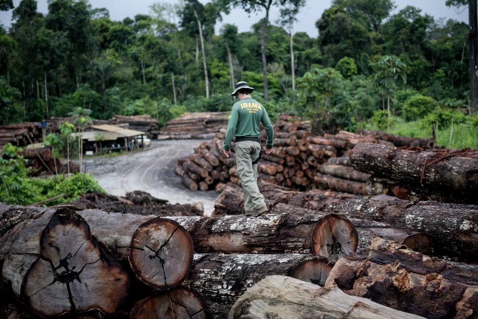 Um agente federal caminha sobre madeira extraída ilegalmente no Território Indígena de Pirititi, no estado de Roraima, Brasil, em 7 de maio de 2018. O Instituto Brasileiro de Meio Ambiente e Recursos Naturais Renováveis (IBAMA) apreendeu 7.387 toras nesta operação.
