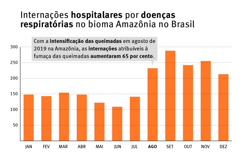 Brazil hospitalizations