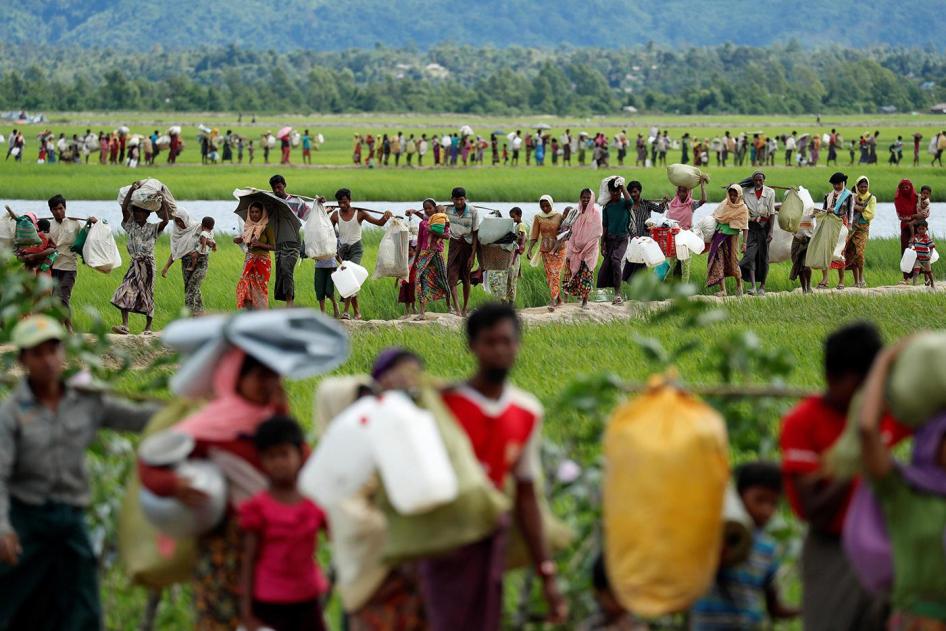 Refugiados rohingya atraviesan cultivos de arroz después de cruzar la frontera de Birmania a Palang Khali, cerca de Cox's Bazar, Bangladesh, el 19 de octubre de 2017.