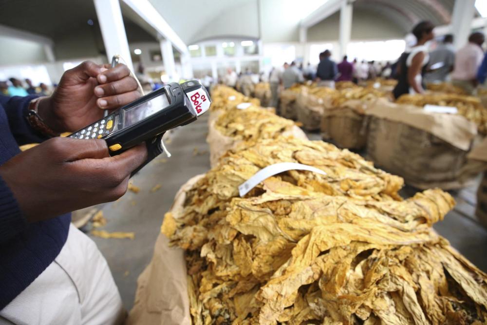 A buyer logs data on the first day of the 2017 tobacco selling season in Harare, Zimbabwe.