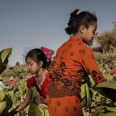 A 11-year-old girl (front) and an 9-year-old girl (back) harvest tobacco on a farm near Sumenep, East Java.
