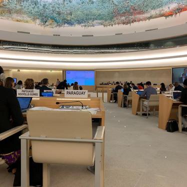 Chamber of the United Nations Human Rights Council