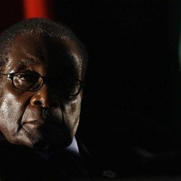 Then-Zimbabwean President Robert Mugabe is seen at the closing ceremony of the 28th Southern African Development Community summit of heads of state and government, in Johannesburg, South Africa.