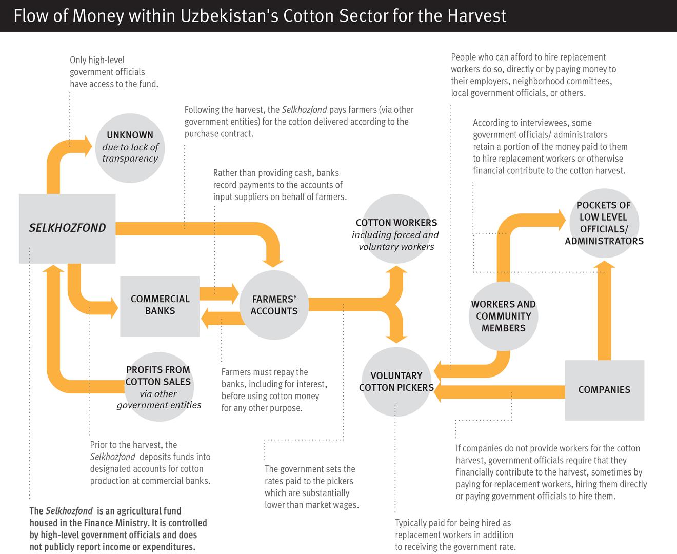 Graphic showing the flow of money within Uzbekistan's cotton sector for the harvest 