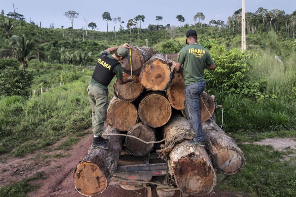 In this March 10, 2018 photo released by Ibama, the Brazilian Environmental and Renewable Natural Resources Institute, agents from Ibama measure illegally cut timber from Cachoeira Seca indigenous land in Para state in Brazil's Amazon basin.