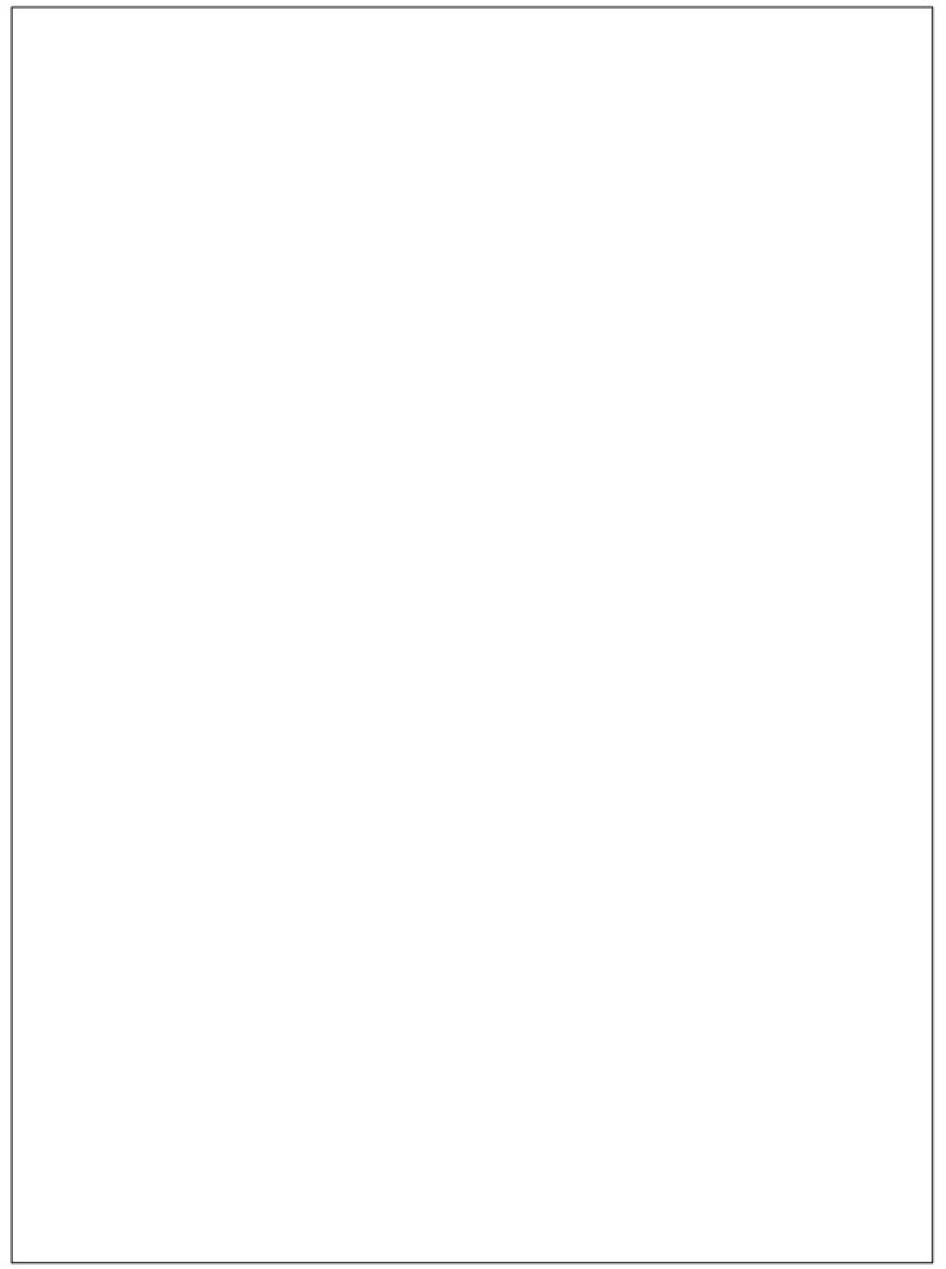 A blank page