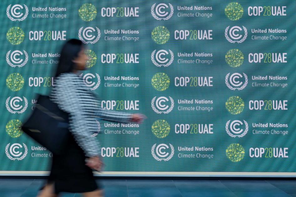 La 28ª Conferencia anual de las Naciones Unidas sobre el Cambio Climático (COP28) reunirá a los Estados partes de la Convención Marco de las Naciones Unidas sobre el Cambio Climático (CMNUCC). Será organizada por los Emiratos Árabes Unidos (EAU) del 30 de noviembre al 12 de diciembre de 2023.