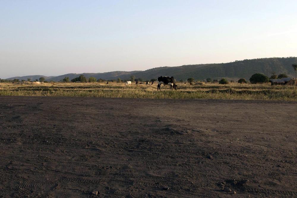 La route de terre conduisant à la mine d’Eland passe près des champs de riz de la communauté de Mwabulambo, au Malawi. La compagnie Eland a utilisé du charbon pour combler les nids de poules des routes. Des villageois ont remarqué une diminution notable d