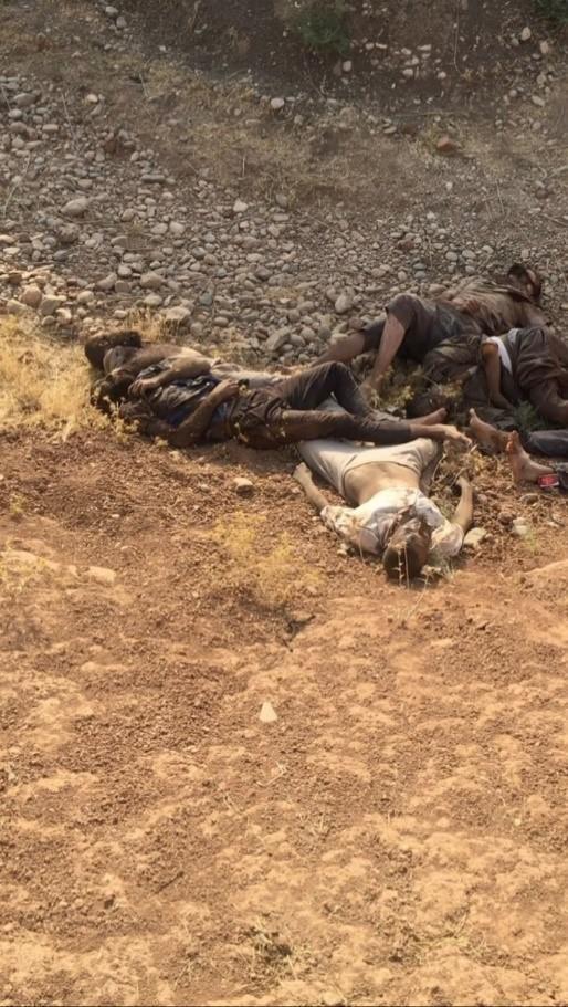 Bodies photographed by a retired security forces member on August 29 near Bardiya village. Human Rights Watch confirmed the date and location of the photos from their metadata. © 2017 Private