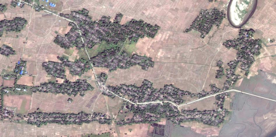 Satellite imagery recorded before and after the clearing of the destroyed village of Myin Hlut. (Before image)