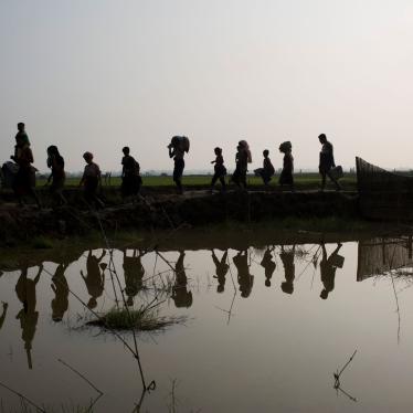 Members of Myanmar's Rohingya ethnic minority walk through rice fields after crossing the border into Bangladesh near Cox's Bazar's Teknaf area, September 5, 2017.