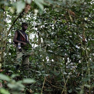Un combattant des FDLR monte la garde dans une région forestière reculée de l’est de la RD Congo en février 2009. 