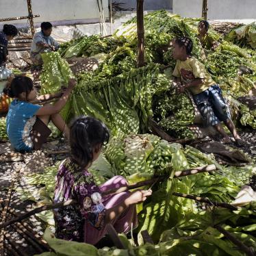 Children tie tobacco leaves onto sticks to prepare them for curing in East Lombok, West Nusa Tenggara. 